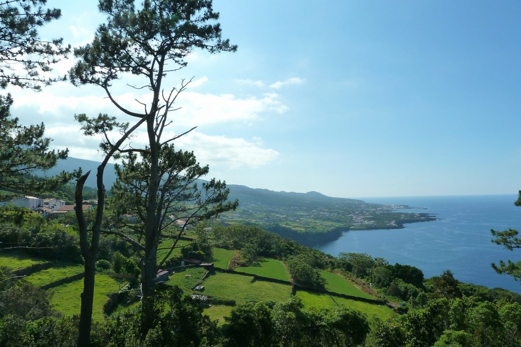 Insel Pico, Azoren Insel Pico, Azoren